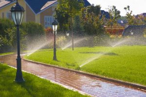 sprinkler of automatic watering in garden